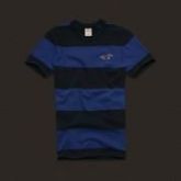 Camiseta Hollister