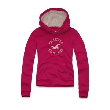 Moletom feminina Hollister