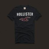 Camiseta Masculina Hollister