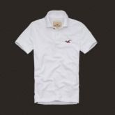 Polo Hollister