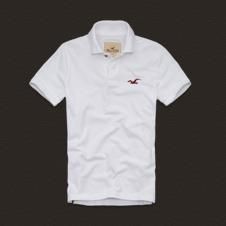 Polo Hollister