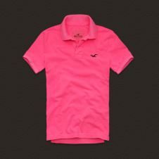 Polo Hollister