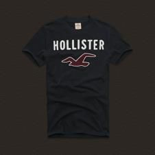Camiseta Masculina Hollister