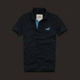 Polo Hollister