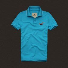 Polo Hollister