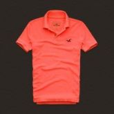 Polo Hollister