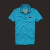 Polo Hollister