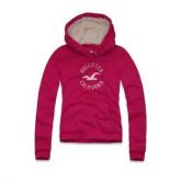 Moletom feminina Hollister