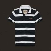 Polo Hollister