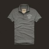 Polo Hollister